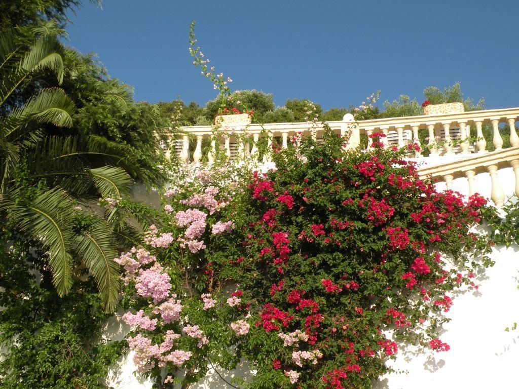 Oniro Villas Korfoe Buitenkant foto