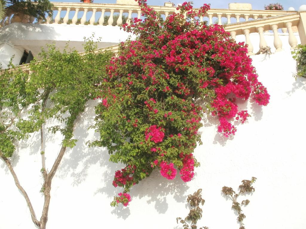 Oniro Villas Korfoe Buitenkant foto